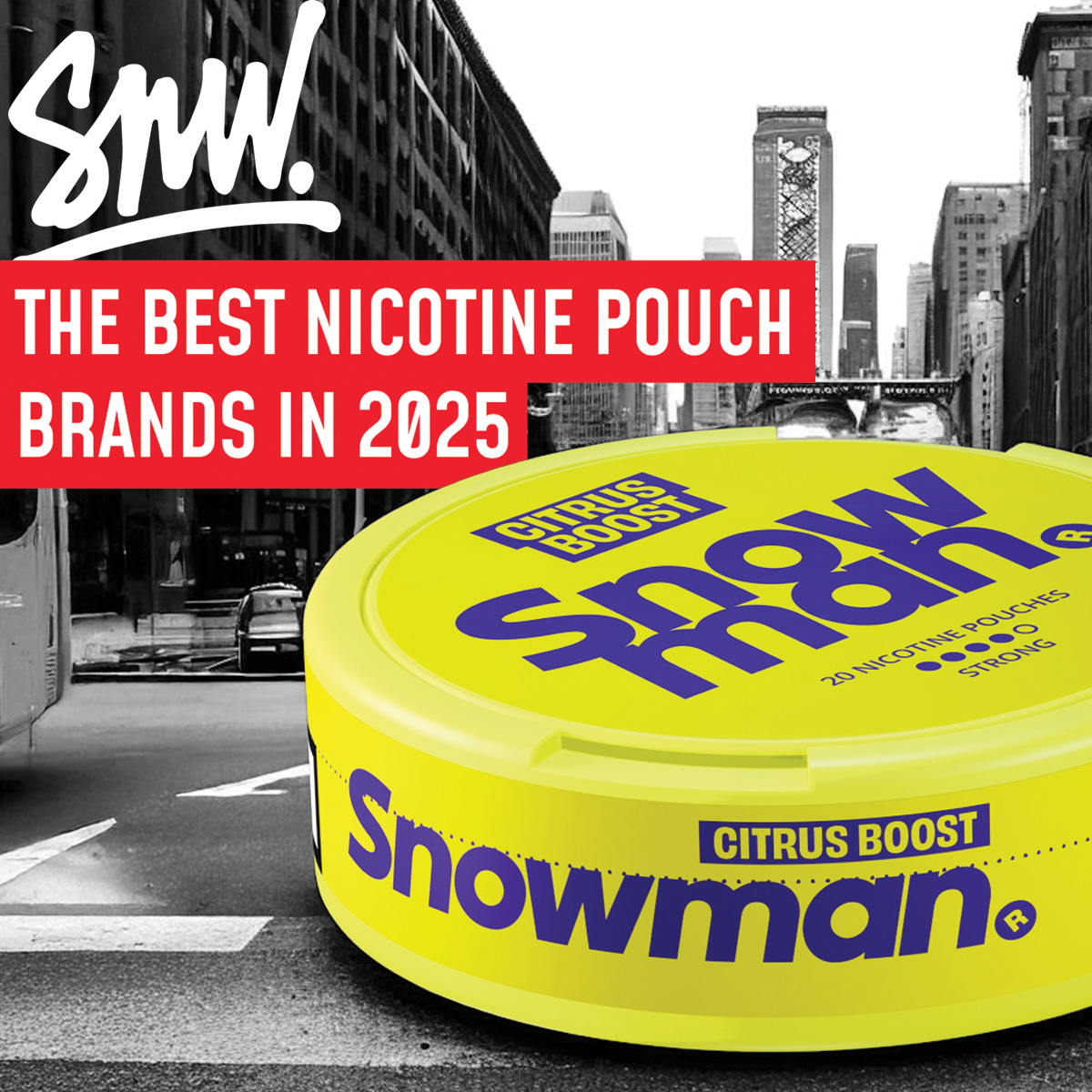 best nicotine pouch brands in 2025