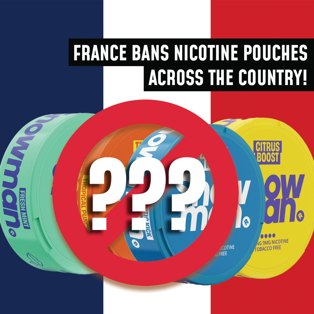 france bans nicotine pouches