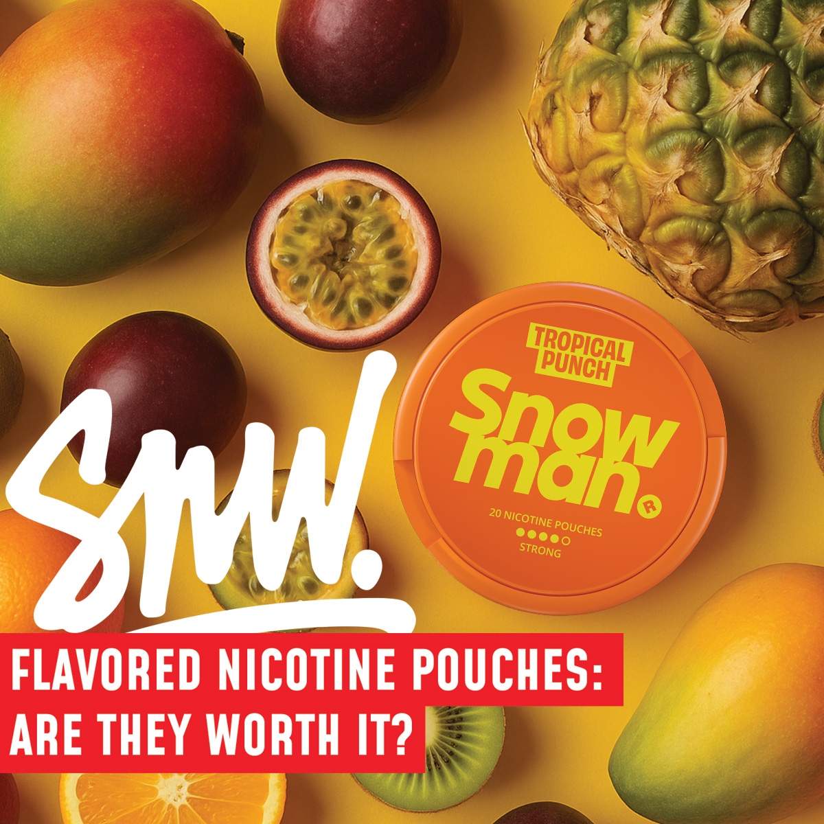 flavored nicotine pouches